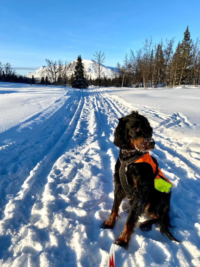 Hyggelig Leilighet I Sentrum Hemsedal Kültér fotó