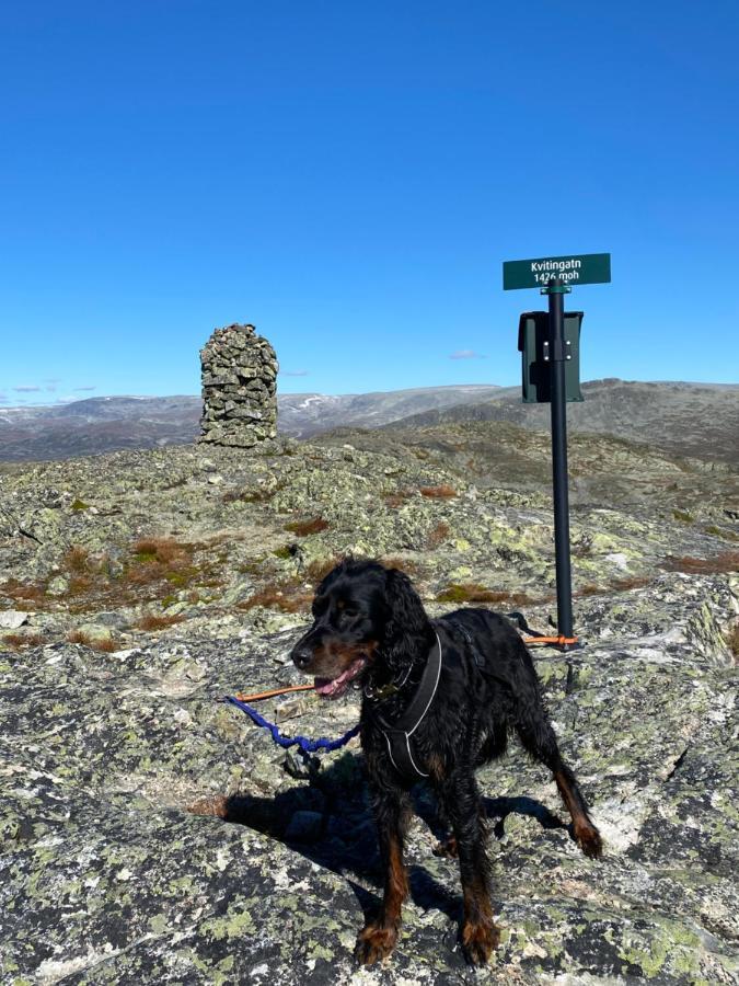 Hyggelig Leilighet I Sentrum Hemsedal Kültér fotó