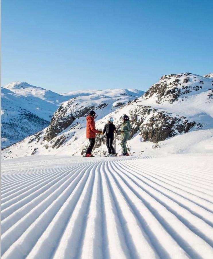 Hyggelig Leilighet I Sentrum Hemsedal Kültér fotó