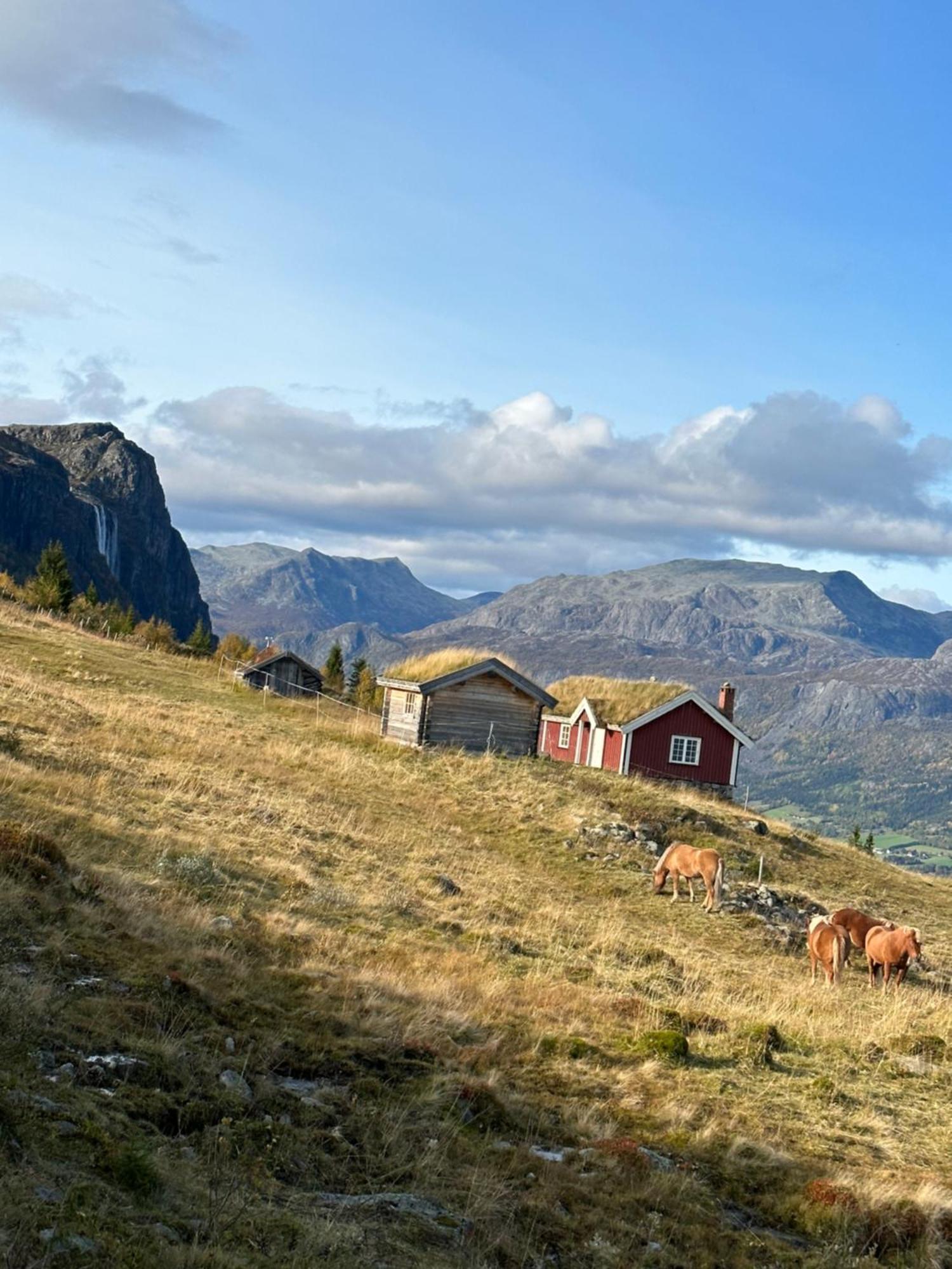 Hyggelig Leilighet I Sentrum Hemsedal Kültér fotó