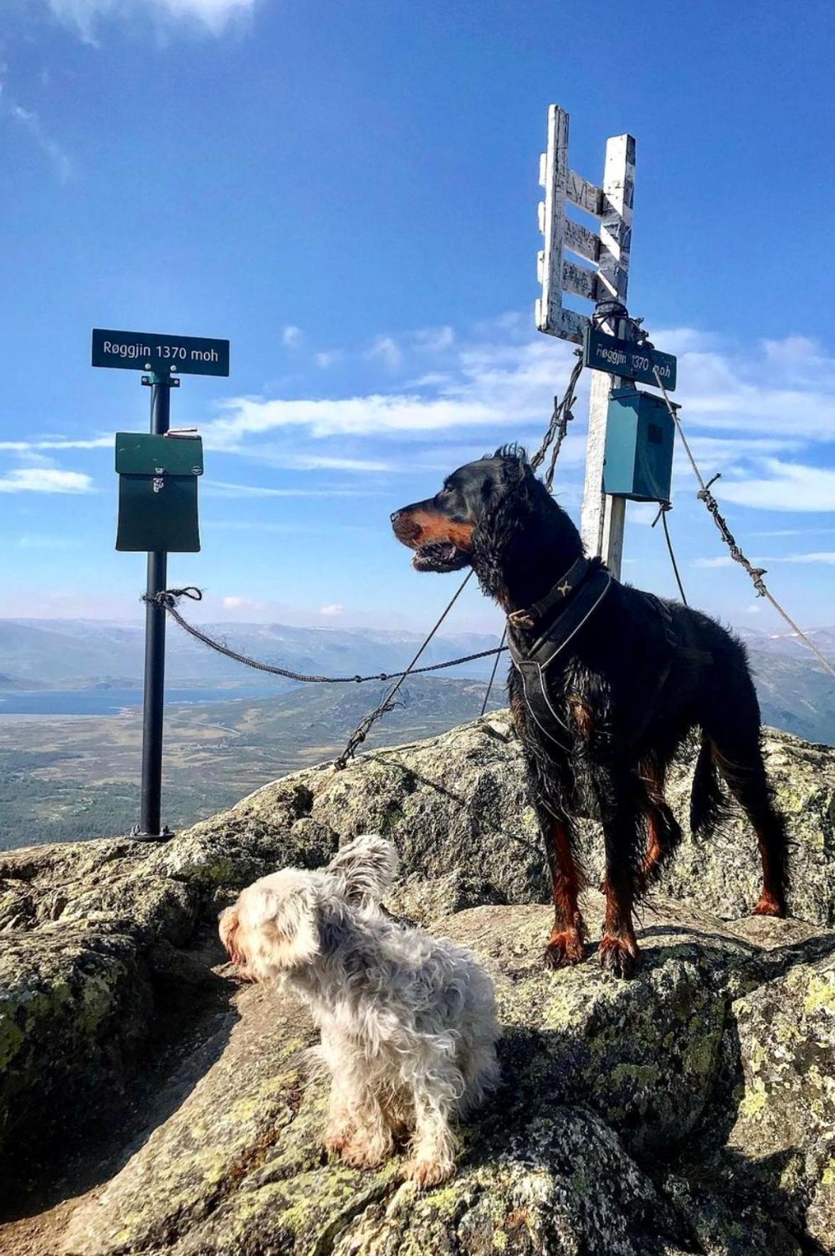 Hyggelig Leilighet I Sentrum Hemsedal Kültér fotó